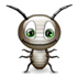 Roach