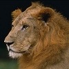hotdraft's Avatar